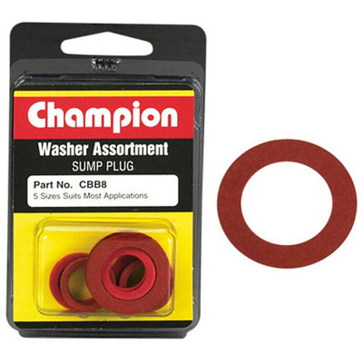 Champion Fibre Washer Assortment – 10 Pack